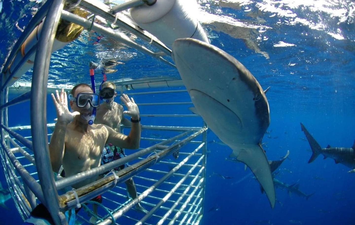 Copy of Screenshot_20200311-014634