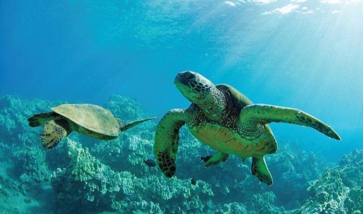 Copy of Screenshot_20220315-192813_Instagram