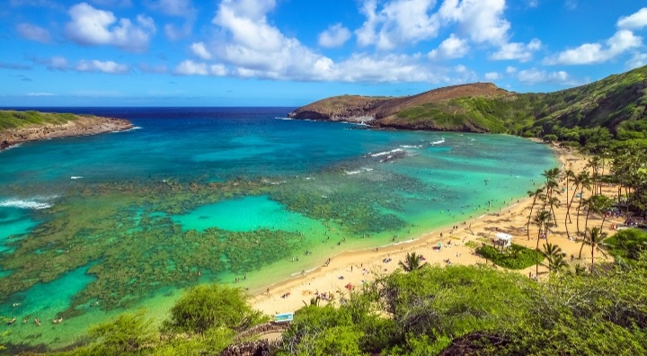 Copy of Screenshot_20220328-225711_Google