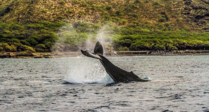 Copy of Screenshot_20221206-013511_Instagram