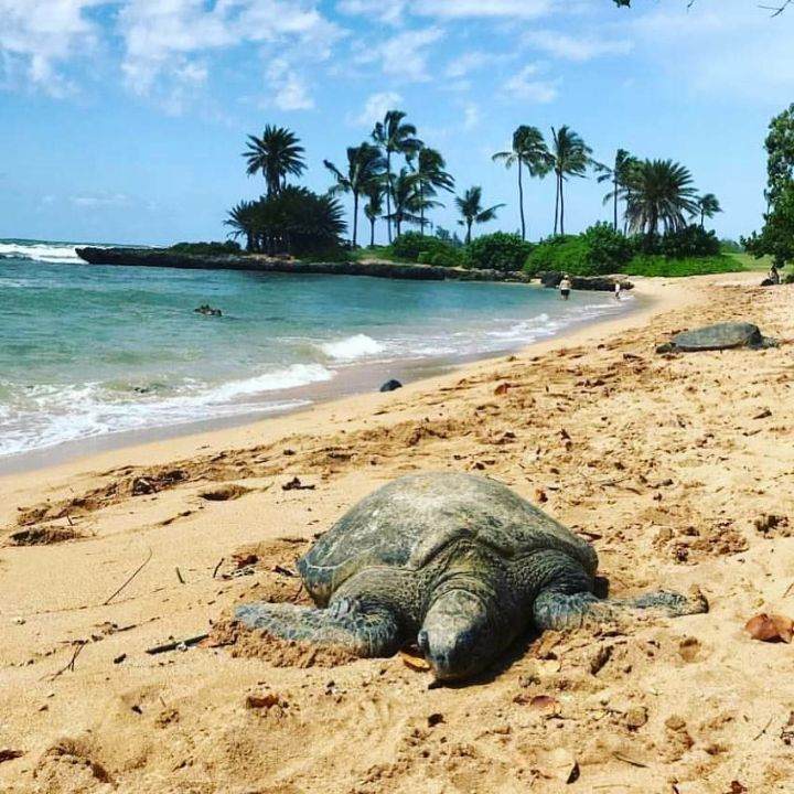 Resized_FB_IMG_1544074237183_2643437291220381