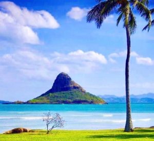 Screenshot_20220328-224431_Google