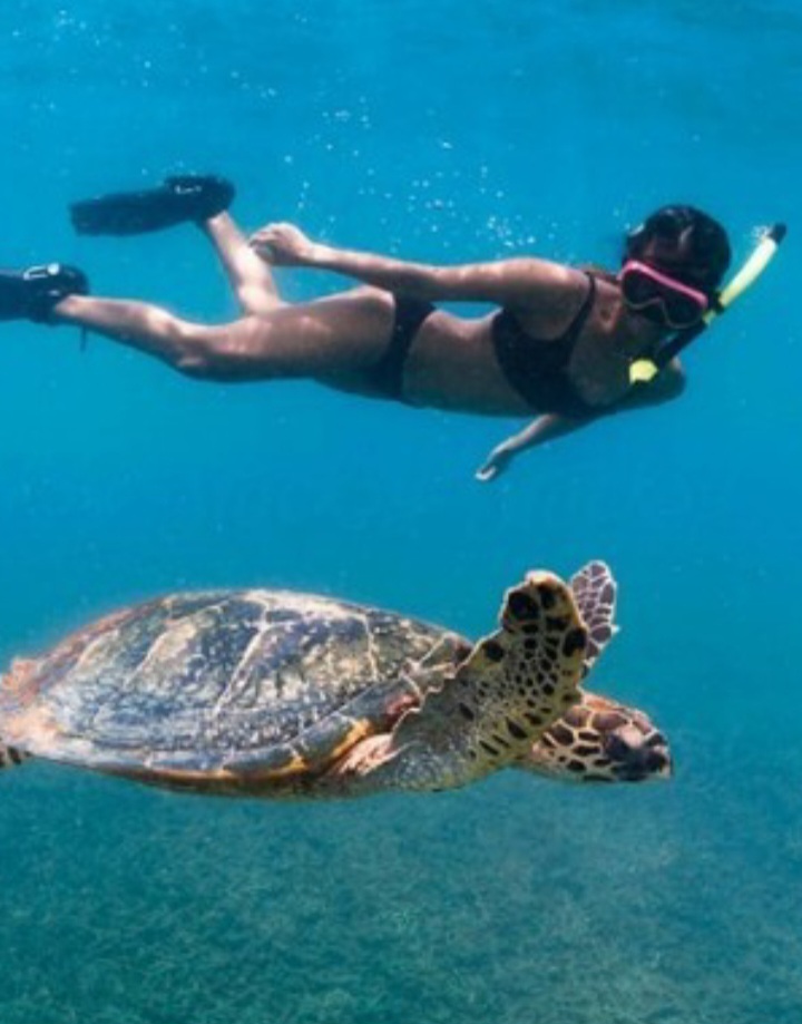 Turtle Canyon Snorkel Waikiki