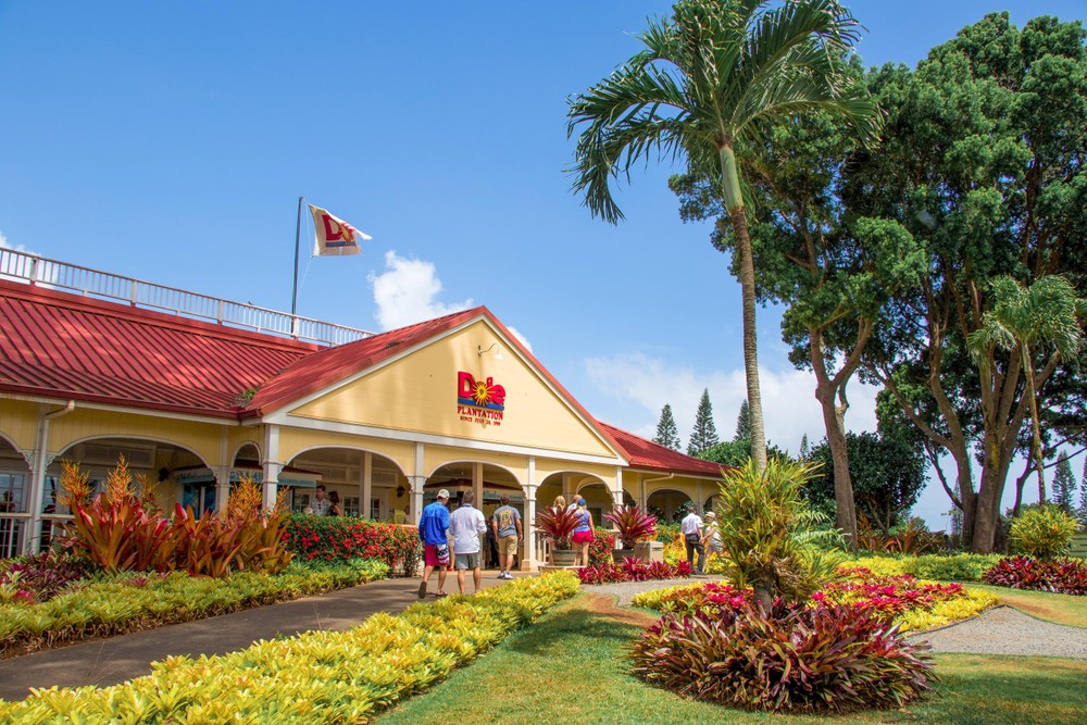 Circle Island Tours North Shore