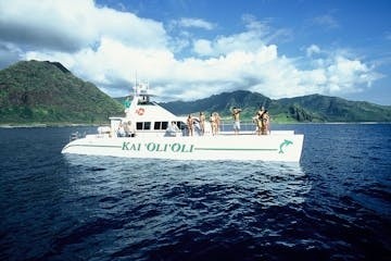 Dolphin Watch Cruises 